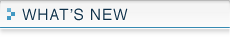 ���C�� �����W�t�[�h�̃A�T�q�̃t�B���^�[What's New